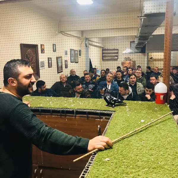 Bahçelievler Kuşevi foto 2