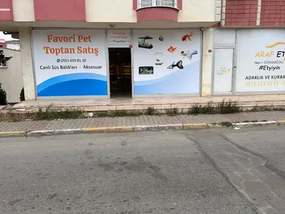 FAVORİ PET TOPTAN SATIŞ