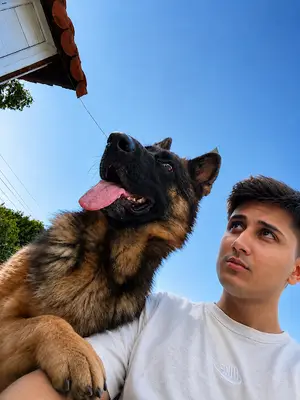 Adana Köpek Eğitim Akademisi Eren