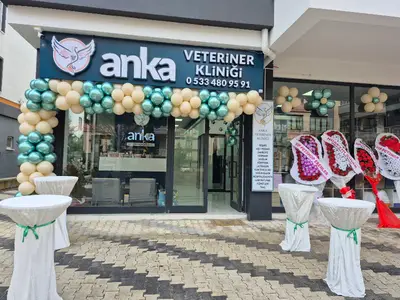 Anka Veteriner Kliniği