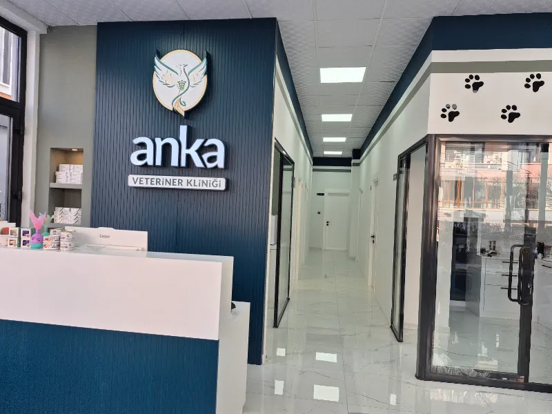 Anka Veteriner Kliniği foto 2
