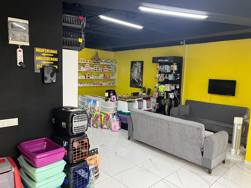 SAMSUN GÖLGE VETERİNER KLİNİĞİ foto 2