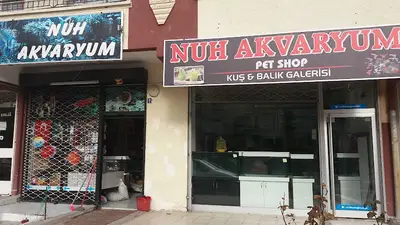 Nuh Akvaryum