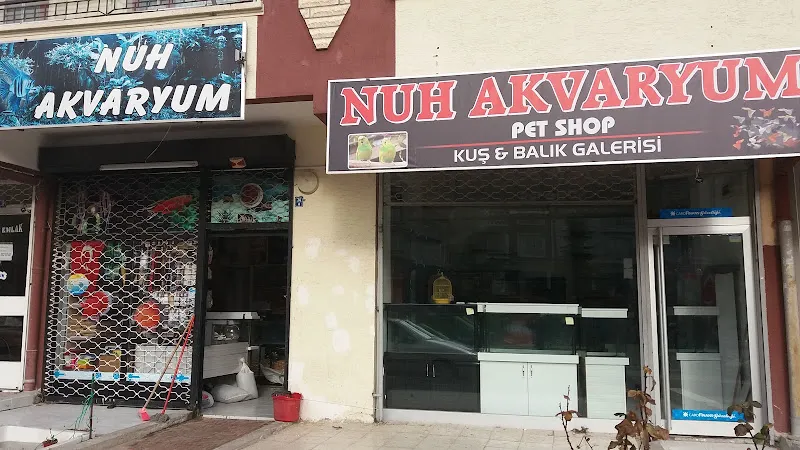 Nuh Akvaryum foto 1