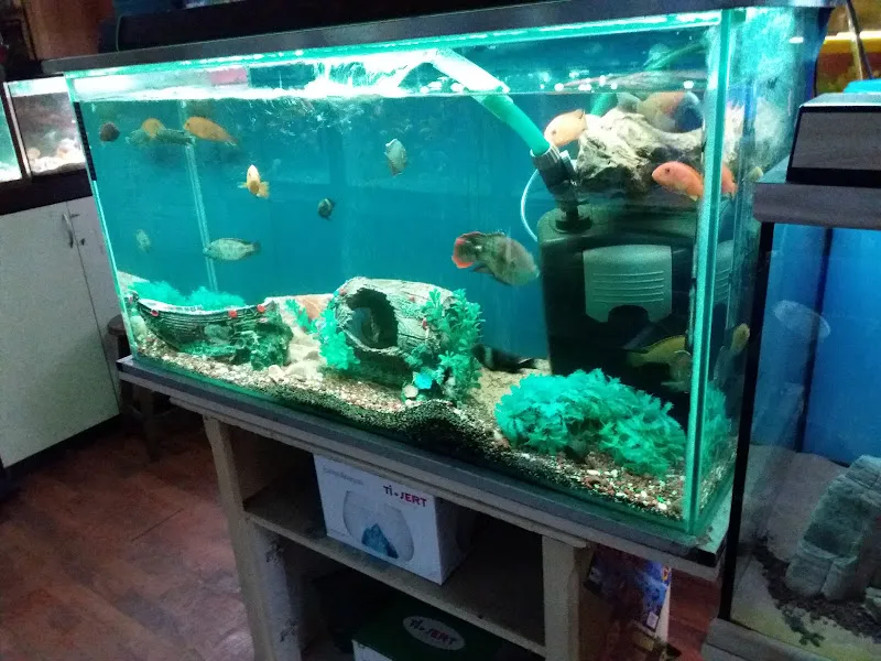 Aqua World foto 2