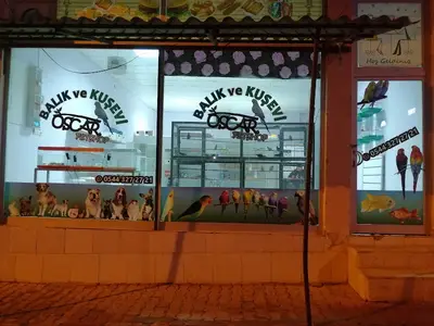 Oscar petshop