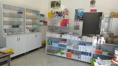 Candemir veteriner Kliniği