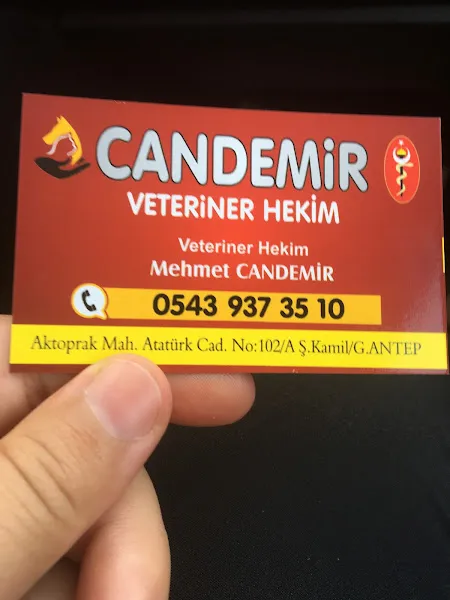 Candemir veteriner Kliniği foto 2