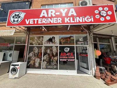 Bafra AR-YA