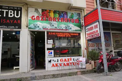 AkvaryumMarket