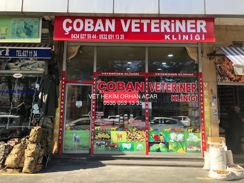 ÇOBAN VETERİNER KLİNİĞİ foto 2