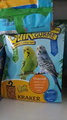 EVCİL PETSHOP Akvaryum