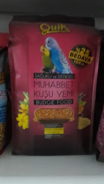 EVCİL PETSHOP Akvaryum foto 2