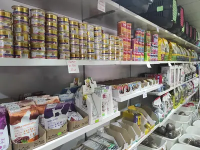 Alican Akvaryum