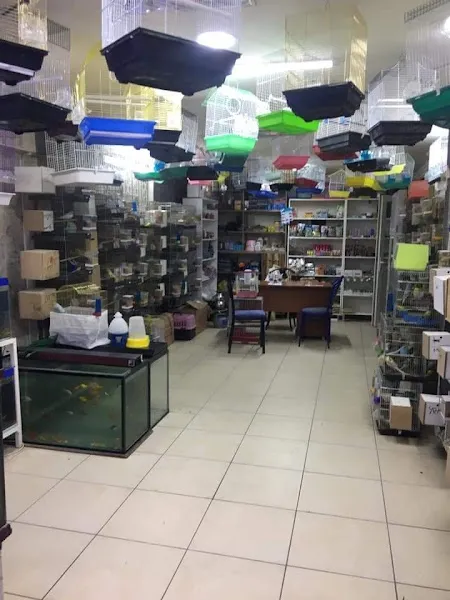 Çennet kuş evi foto 2