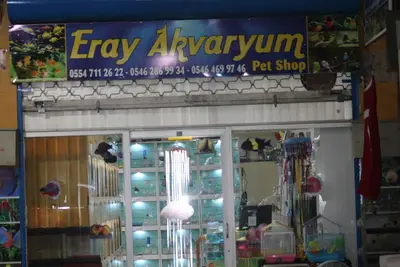 TROPİKAL akvaryum
