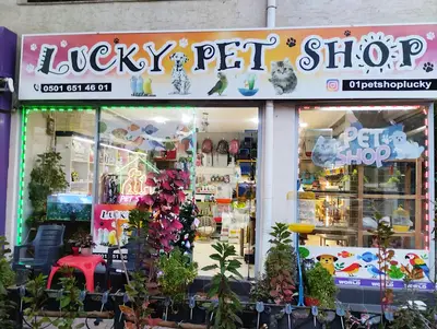 Lucky Pet Shop Seyhan