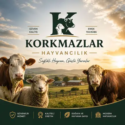 Korkmazlar hayvancılık