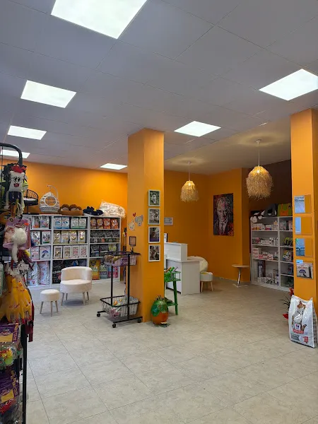 Lady Petshop foto 2