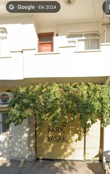KAYA KULUÇKA foto 1