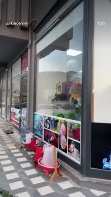 GÜR KUŞ CENNETİ 2