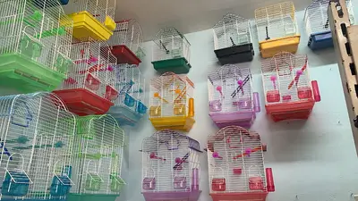 Aşkar Petshop