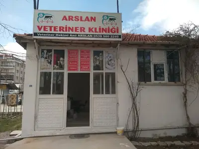 Alabasoğlu koyunculuk