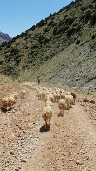 TOZOĞLU ÇİFTLİĞİ 1 foto 1