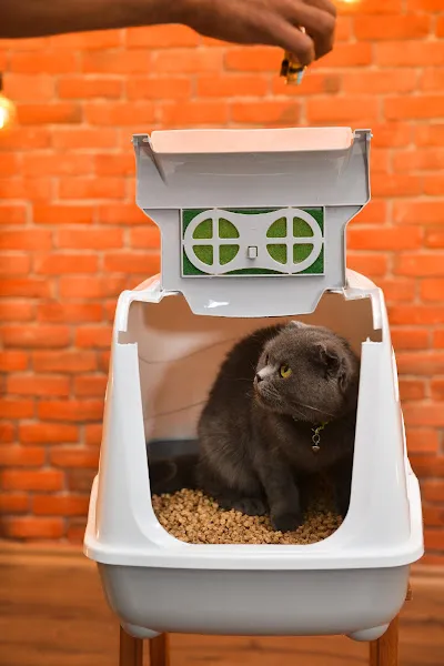 Happy Cat Litter foto 2