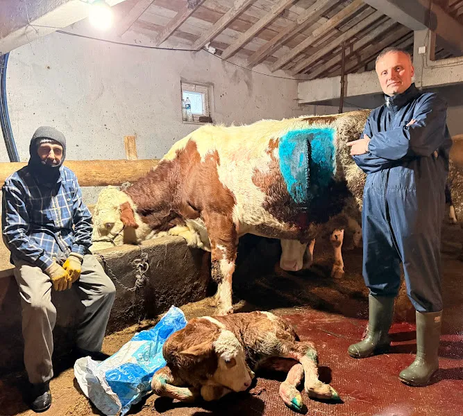 Baloğlu veteriner kliniği foto 1