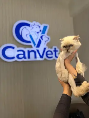 CanVet Veteriner Kliniği