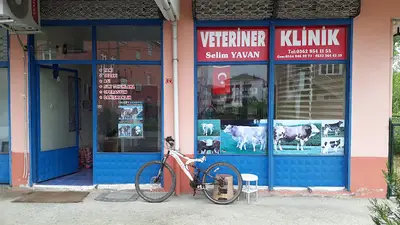 yenmez veteriner kliniği