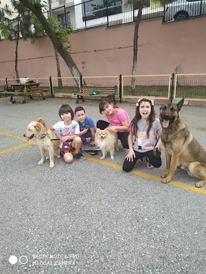 Akademi Köpek Merkezi
