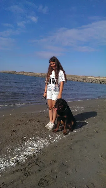 Akademi Köpek Merkezi foto 2