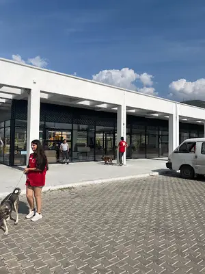 Pako Street Animal Social Life Campus