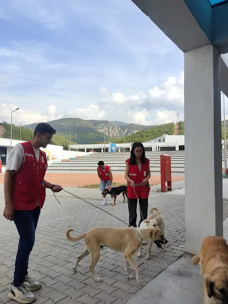 Pako Street Animal Social Life Campus foto 2