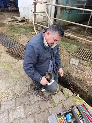 Çakaltepe Hayvan Barınağı