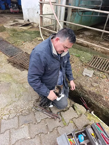 Çakaltepe Hayvan Barınağı foto 1