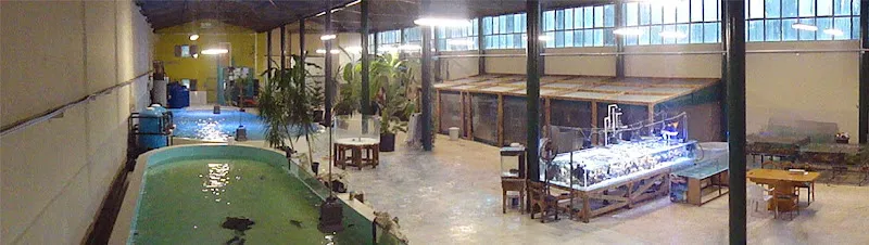TDE foto 2