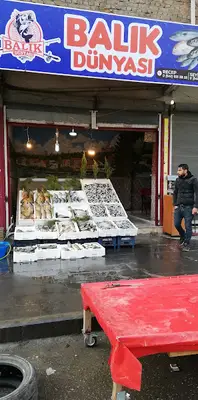 Balık dünyası