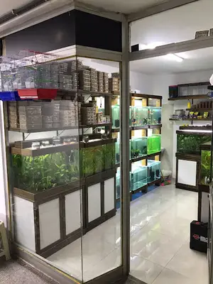 Suyun Kalbi Bolu
