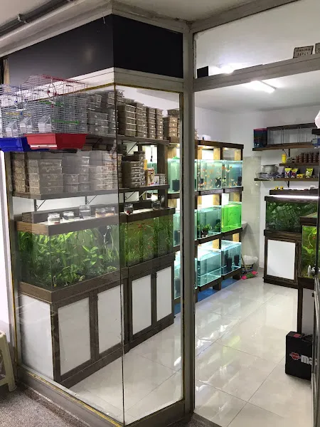 Suyun Kalbi Bolu foto 1