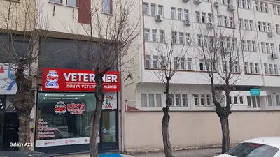 ÇORUM DÜNYA VETERİNER KLİNİĞİ