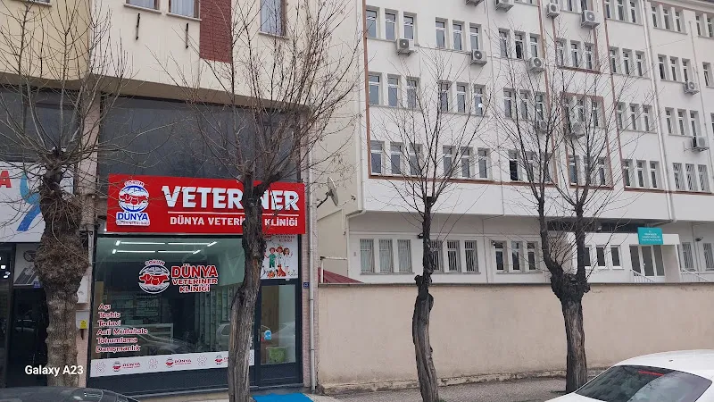 ÇORUM DÜNYA VETERİNER KLİNİĞİ foto 1