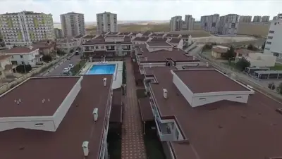 Tazefidan Besi Çiftligi