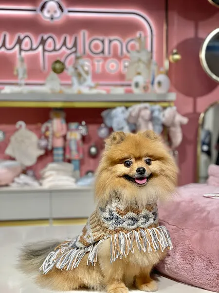 Atakule Petshop foto 2