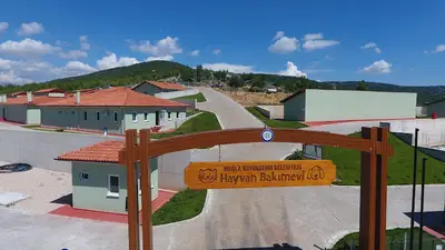 Hayvan barınağı