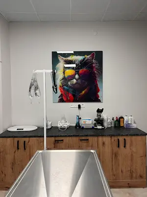 Gökbörü veteriner kliniği