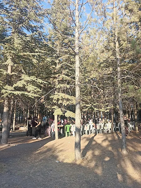 Doğa Koruma ve Milli Parklar Eskişehir/Alpu Şefliği foto 1
