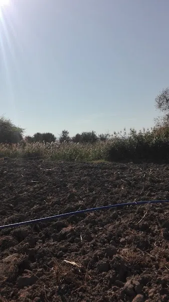 Doğa Koruma ve Milli Parklar Eskişehir/Alpu Şefliği foto 2